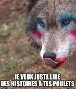 Loup je veux juste de lire des histoires aux poulets