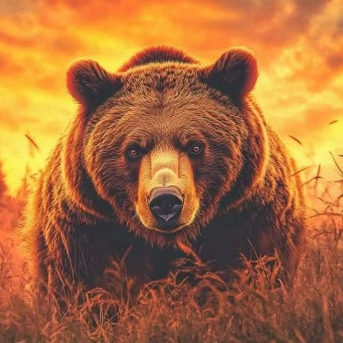 La placidité de l&rsquo;Ours Russe agace les roquets bellicistes occidentaux